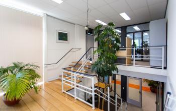 Interior view of Weegschaalstraat 3 office to rent in Eindhoven North, featuring a modern staircase with plants and natural light.
