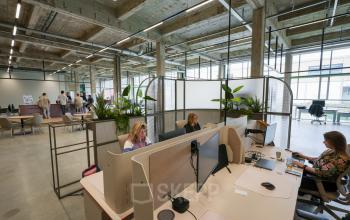 Modern open floorplan office at Frederiklaan 10A, Eindhoven Strijp-S, featuring spacious workstations with stylish partitions and greenery, ideal for office space rental.