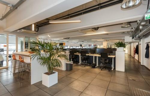 Modern open-floor office space for rent at Brouwerijstraat 10 in Enschede, featuring workstations, plants, and contemporary lighting.