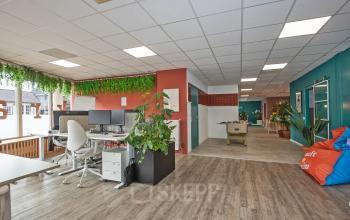 Furnished office space at Boddenkampsingel 95, Enschede with desks, chairs, and decorative plants, perfect for office space rental.