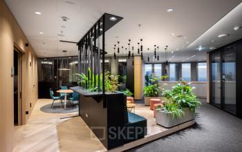 Moderner Büroraum mit stilvollen Möbeln und üppigem Grün in der Junghofstraße 9, ideal zum Büro mieten in Frankfurt Innenstadt.