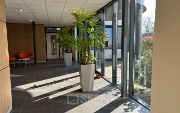 Bright office entrance at Techniekweg 15, Gorinchem, featuring large windows, potted plants, and modern design elements.