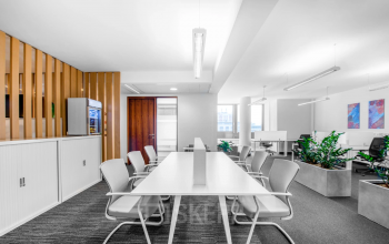 Bright and modern office space rental at Brückenkopfgasse 1, Graz, with a long conference table, comfortable chairs, and vibrant green plants.
