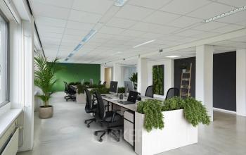 Modern office space at Schweitzerlaan 12, Groningen, featuring open workstations with ergonomic chairs and lush greenery, perfect for office space rental.