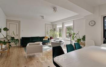 Bright office space in Haarlem Zuid with modern furnishings, large windows, and indoor plants. Ideal for office space rental.