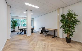 Modern office space rental at Fonteinlaan 5, Haarlem Zuid, featuring spacious workstations, wood-patterned flooring, indoor plants, and ample natural light.