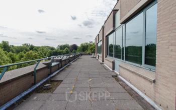 Dakterras