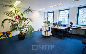 Bright office space for rent at Franciscusweg 219, Hilversum, featuring desks, natural light, and decorative plants.