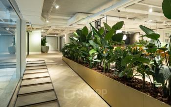 Spacious interior of an office at Siriusdreef 60, Hoofddorp, featuring lush indoor plants along a polished corridor, perfect for office space rental. Bright, modern design with ample workspace potential.