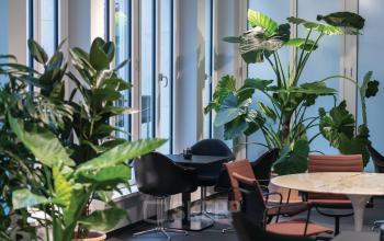 Moderne Bürofläche mieten in Köln Innenstadt, Christophstraße 15-17, mit komfortablen Sitzgelegenheiten und großen Pflanzen für eine angenehme Arbeitsatmosphäre.