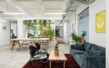 Nowoczesne i przestronne biura na wynajem w Krakowie przy Przemysłowej 12, z eleganckimi roślinami i komfortowym miejscem do pracy