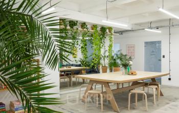 Nowoczesne powierzchnie biurowe przy Przemyslowa 12 w Krakowie, przestronne z roślinnością i wygodnymi miejscami do pracy.