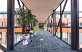 Bright corridor in office space rental at Pompoenweg 3-15, Leiden, featuring large windows, potted plants, and modern furnishings.