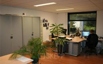 Person at a computer in a well-lit office space rental at van Rietlaan 11, Linschoten, with green plants and storage cabinets.