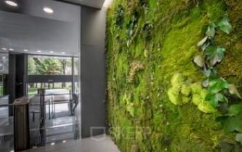 Alquilar oficinas Paseo de Recoletos 27, Madrid (6)