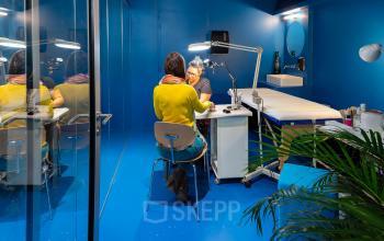 Vibrant office space rental at Rue de la République 113, Marseille 2, with a person focused on desk work under bright lighting in a blue-walled room.