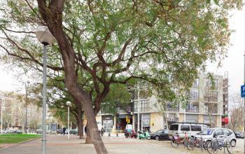 Alquilar oficinas Carrer de Llull 27, Barcelona (6)