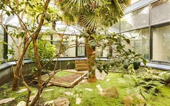 Espace de détente extérieur avec jardin à la rue de l'Amiral Hamelin