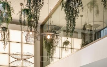Élégant espace de bureau à louer à Paris 17ème, rue de Courcelles 148, avec un plafond moderne agrémenté de suspensions lumineuses et plantes suspendues.