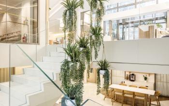 Bureau moderne à louer situé rue de Courcelles à Paris 17ème, décoré de plantes suspendues et d'un espace lumineux avec escalier central.