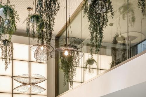 Élégant espace de bureau à louer à Paris 17ème, rue de Courcelles 148, avec un plafond moderne agrémenté de suspensions lumineuses et plantes suspendues.