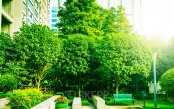 Une cour arborée est à accessible pour passer des moments agréables