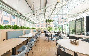 Bright and airy office space at Lange Kleiweg 50-62, Rijswijk, featuring modern furnishings and ample greenery, ideal for collaborative work. Perfect for companies seeking office space rental with a refreshing environment.