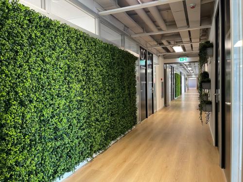 Modern corridor at Generaal Eisenhowerplein 111, Rijswijk, featuring vibrant greenery walls and sleek office entrances. Ideal for office space rental, blending style with function in a professional setting.