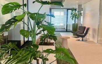 Bright, modern office space at Bahialaan 100, Rotterdam Brainpark, featuring lush plants and stylish furnishings perfect for rent office space needs.