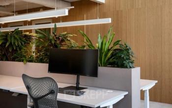 Modern office space at Vasteland 42-110 in Rotterdam Center with ergonomic seating, adjustable desks, and greenery. Available for office space rental.