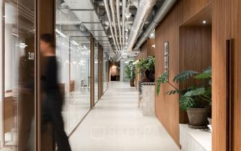 Modern office space at Stadhuisplein 9-23 in Rotterdam Center with exposed ceilings and glass doors; person entering an office, lush indoor plants along the corridor.