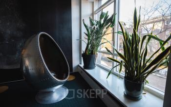 Unique office space at Schiedamse Vest 154 in Rotterdam Center with a metal egg-shaped chair and large plants near a window.