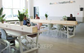 Bright open workspace with modern desks, plants, and people working on laptops in an office to rent at Schiedamse Vest 154, Rotterdam Center.