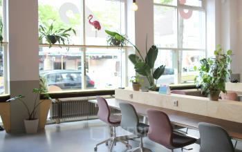 Bright workspace with modern desks and chairs, large windows, and indoor plants at Schiedamse Vest 154, Rotterdam Center.