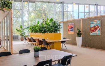 Bright office to rent at Van Nelleweg 1 in Rotterdam Delfshaven, featuring large windows, green plants, and modern furniture for a vibrant workspace environment.