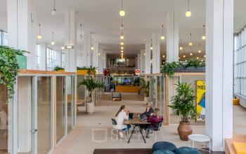 Open and bright office space at Van Nelleweg 1, Rotterdam Delfshaven, featuring modern furnishings and vibrant plants with people engaged in discussions and collaboration.