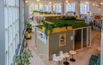 Spacious office space in Rotterdam Delfshaven with plants, natural light, and modular workstations available for rent.