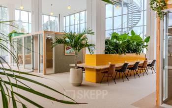Vibrant office space at Van Nelleweg 1, Rotterdam Delfshaven, featuring large windows, plants, and stylish furniture perfect for office space rental.