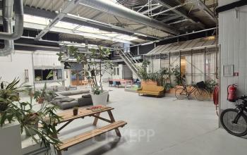 Spacious industrial-style office space with plants, seating areas, and natural light, perfect for office space rental in Rotterdam Delfshaven.
