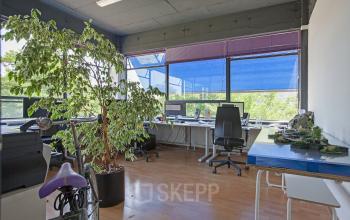 Bright office space rental at Zomerhofstraat 71 in Rotterdam North with desks, chairs, and large windows offering natural light and greenery.