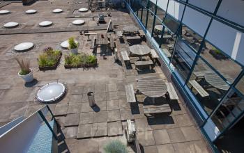 Outdoor terrace area on the rooftop at Vijverhofstraat 47, Rotterdam North, with wooden picnic tables and potted plants, a relaxing space for employees.