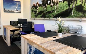 Contemporary office space rental at Van der Takstraat 8, Rotterdam Noordereiland with stylish wooden desks, ergonomic chairs, and vibrant art on the walls.