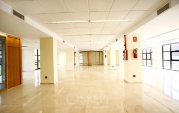 Alquilar oficinas Avenida San Francisco 15, Sevilla (1)