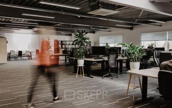 Spacious open-floorplan office space rental in Bredaseweg, Breda Terheijden, featuring modern workstations, plants, and ample natural light. A person is walking through the workspace, highlighting a lively business environment.