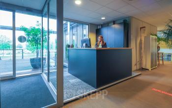 Reception area at Orteliuslaan 850, Utrecht Papendorp with a receptionist attending to business activities. Ideal for those looking to rent office space or explore office space rental options.