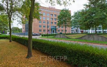 Exterior view of Newtonlaan 115 office building in Utrecht Rijnsweerd, Utrecht featuring a tree-lined street and modern architecture.