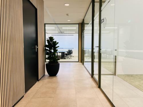 Hallway with glass doors leading to various office spaces for rent at Varrolaan 100-126, Utrecht Rijnsweerd. A potted plant adds a touch of greenery.