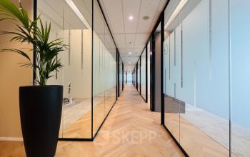 Spacious office corridor with sleek glass partitions and potted plant, located at Vliegend Hertlaan 15 in Utrecht South, suitable for office space rental.