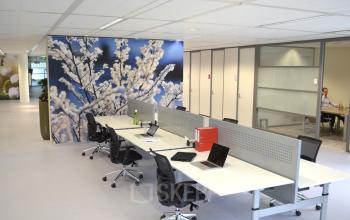 COLOR BC UTRECHT UTRECHT 5589311A7CA72 full