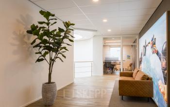 A modern office interior at Costerweg 5, Veghel, featuring a hallway with wooden floors, a large potted plant, and a seating area. Behind glass doors, a furnished office space is visible for rent.